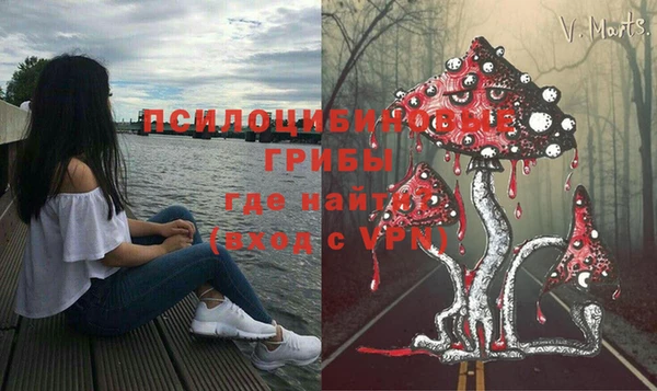 МДПВ Осинники