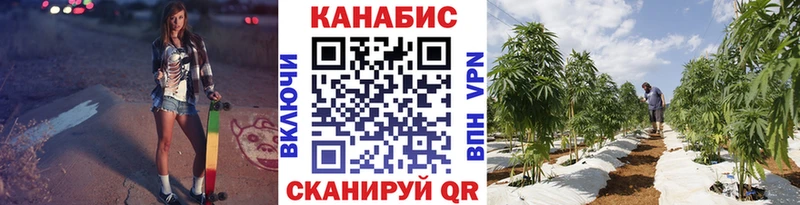 Марихуана сатива  гидра зеркало  Сольвычегодск 